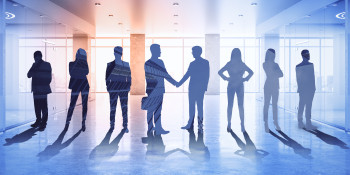 Services for LTD Companies