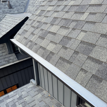 Leaf Guard Installation