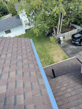 Leaf Guard Installation