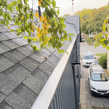 Leaf Guard Installation