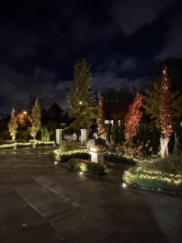 Christmas Light Installation