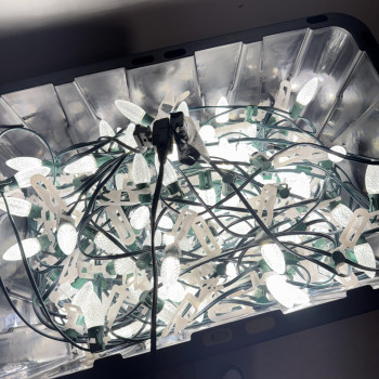 Christmas Light Installation