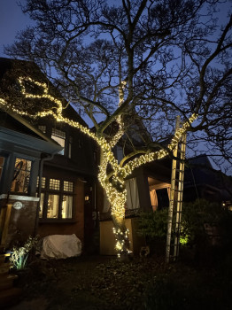 Christmas Light Installation