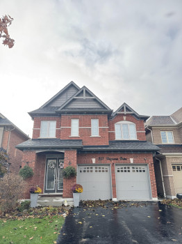 Christmas Light Installation