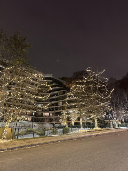 Christmas Light Installation