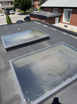 Residential Window Cleaning